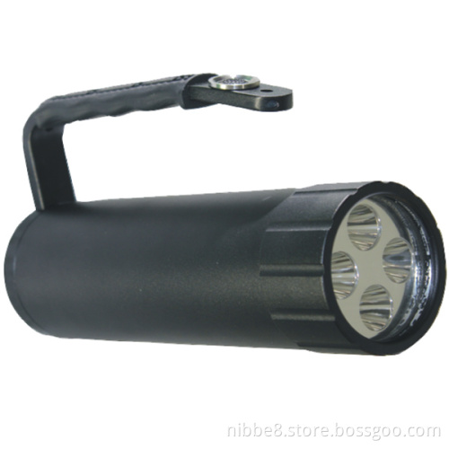 Explosion-Proof LED Torch Light